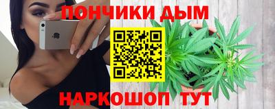 сатива Гатчина