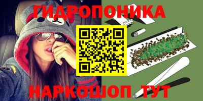 a pvp Гагарин
