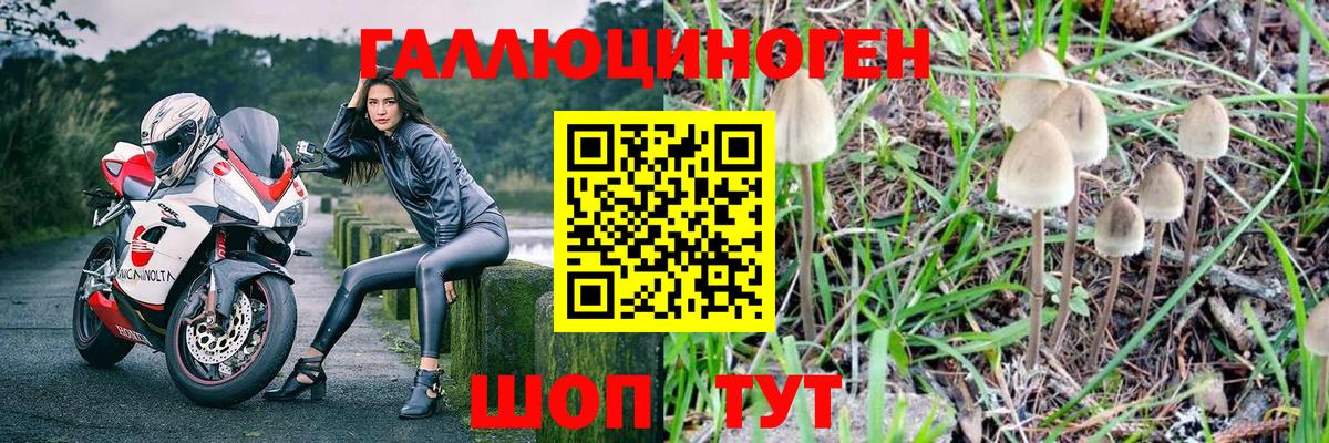 Псилоцибиновые грибы ЛСД  Вход с VPN  Иваново  Галлюциногенные грибы Psilocybe 